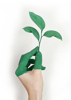 peinture � la main �cologique